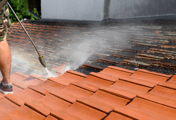 Best Local Pressure Washing Services  in South Daytona, FL