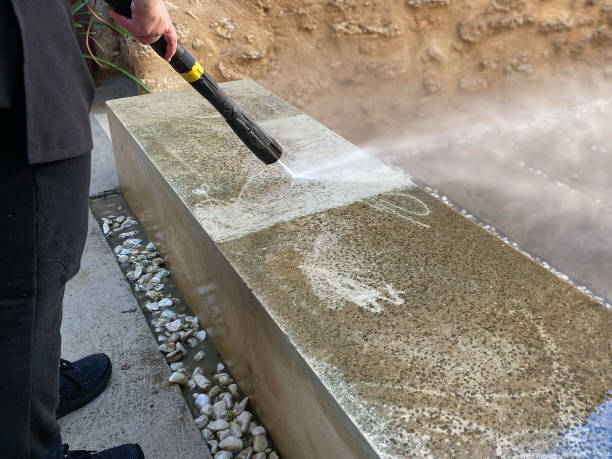 Best Pressure Washing Near Me  in South Daytona, FL