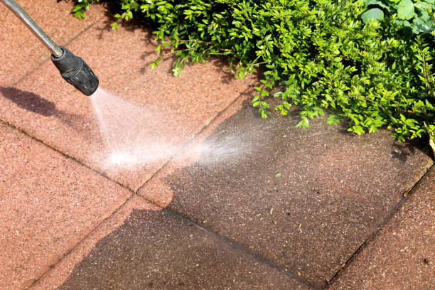 Best Residential Pressure Washing Services  in South Daytona, FL